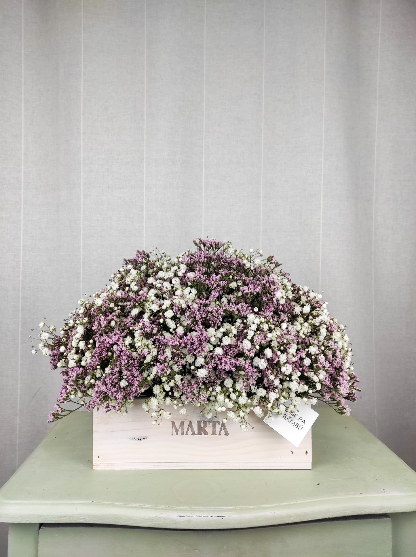 CAJA LIMONIUM Y PANICULATA (Agotado)